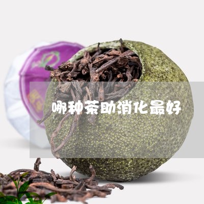 哪种茶助消化最好/2023032421824