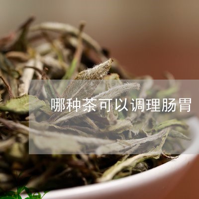 哪种茶可以调理肠胃/2023041529380