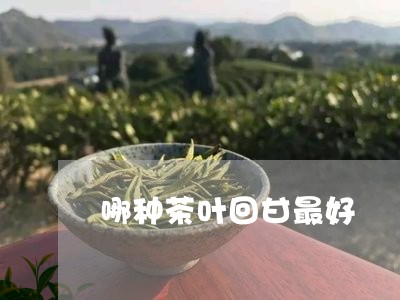 哪种茶叶回甘最好/2023032694048