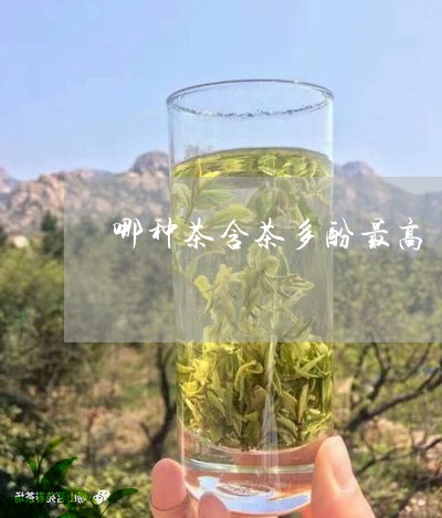 哪种茶含茶多酚最高/2023041567380