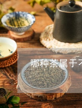 哪种茶属于不发酵茶/2023041586259