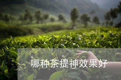 哪种茶提神效果好/2023032472948