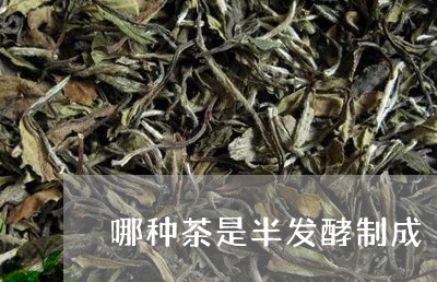 哪种茶是半发酵制成/2023031917259