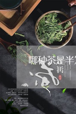 哪种茶是半发酵制成/2023041569404