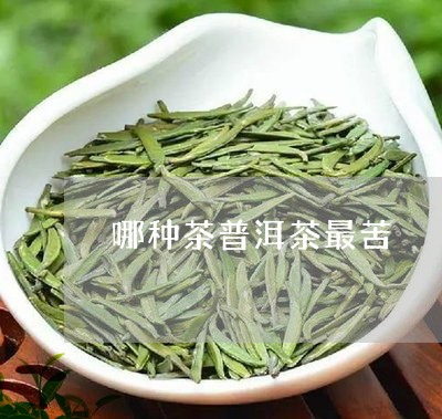 哪种茶普洱茶最苦/2023041136359