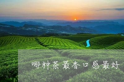 哪种茶最香口感最好/2023041575027