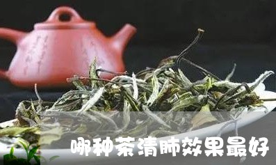 哪种茶清肺效果最好/2023031983835