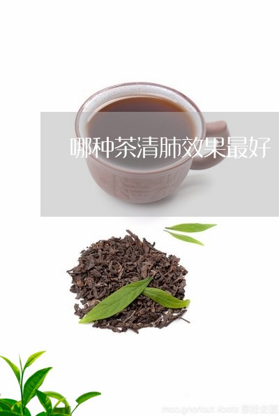 哪种茶清肺效果最好/2023041588483