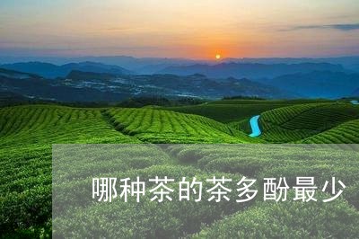 哪种茶的茶多酚最少/2023041674840