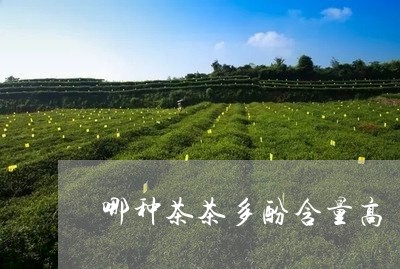 哪种茶茶多酚含量高/2023041537462