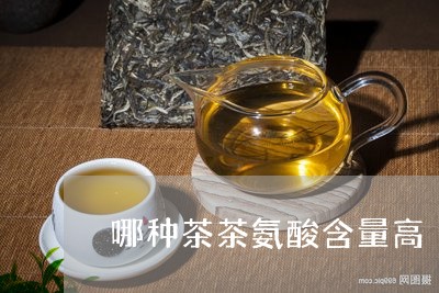 哪种茶茶氨酸含量高/2023041502716