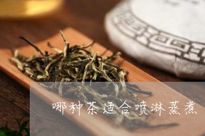 哪种茶适合喷淋蒸煮/2023031948361