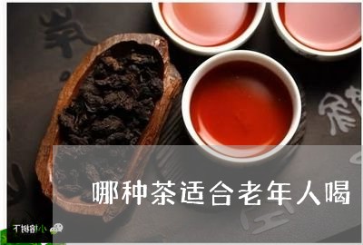 哪种茶适合老年人喝/2023032037492