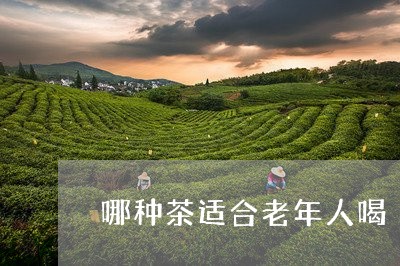 哪种茶适合老年人喝/2023041605058