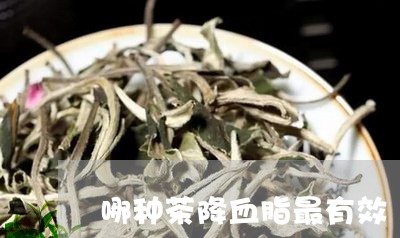 哪种茶降血脂最有效/2023041539715