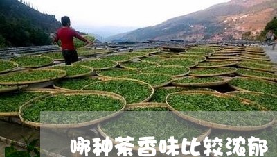 哪种茶香味比较浓郁/2023031982604