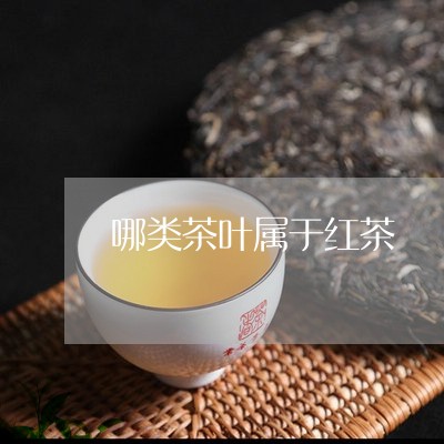 哪类茶叶属于红茶/2023041428481