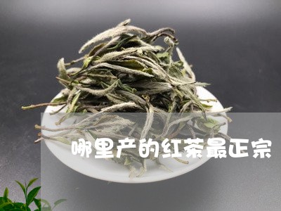 哪里产的红茶最正宗/2023031915048