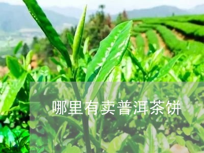 哪里有卖普洱茶饼/2023031612815