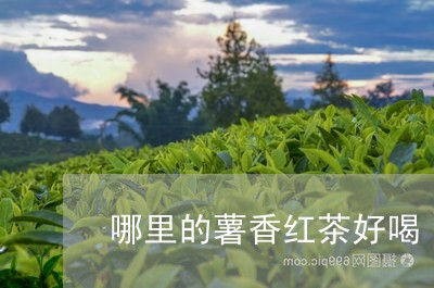 哪里的薯香红茶好喝/2023041558463