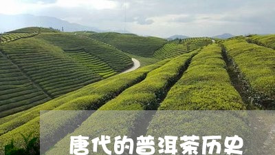 唐代的普洱茶历史/2023040958270