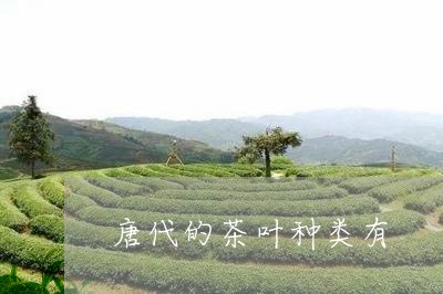 唐代的茶叶种类有/2023032564038