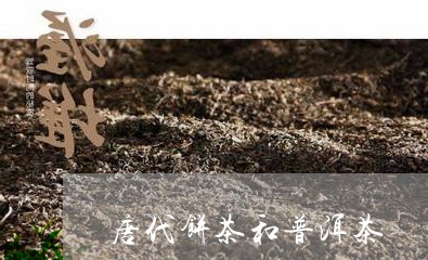 唐代饼茶和普洱茶/2023031667471