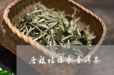 唐姐福临春普洱茶/2023033119270