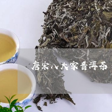 唐宋八大家普洱茶/2023033033858