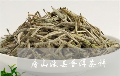 唐山滦县普洱茶饼/2023041319369