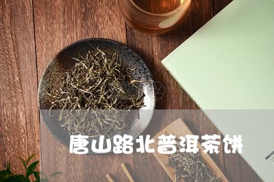 唐山路北普洱茶饼/2023031601826