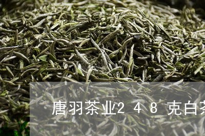 唐羽茶业248克白茶价格/2023033038069