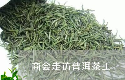 商会走访普洱茶王/2023041224157