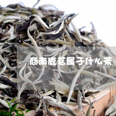 商南鹿茗属于什么茶/2023041579435