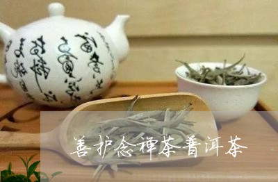 善护念禅茶普洱茶/2023041359402