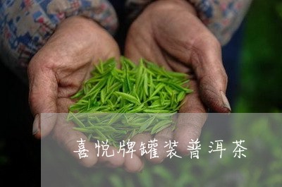 喜悦牌罐装普洱茶/2023031760382