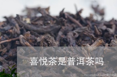 喜悦茶是普洱茶吗/2023041115059