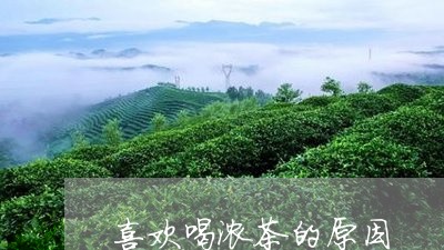 喜欢喝浓茶的原因/2023032454735