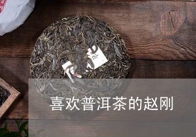 喜欢普洱茶的赵刚/2023040184815