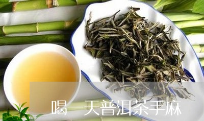 喝一天普洱茶手麻/2023033008271