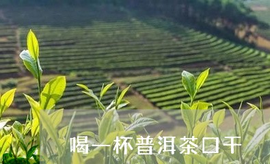 喝一杯普洱茶口干/2023033166481