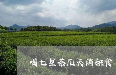 喝七星茶几天消积食/2023041572723