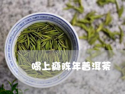 喝上瘾陈年普洱茶/2023041003837