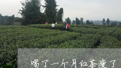 喝了一个月红茶瘦了/2023031972015