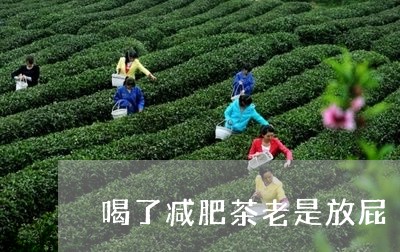 喝了减肥茶老是放屁/2023041461605