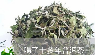 喝了十多年普洱茶/2023033020482