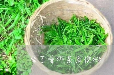 喝了普洱茶后便秘/2023041223926