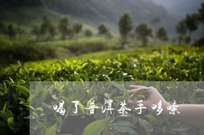 喝了普洱茶手哆嗦/2023041091856