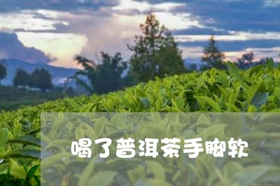 喝了普洱茶手脚软/2023031751027