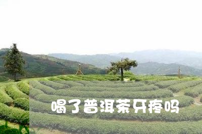 喝了普洱茶牙疼吗/2023041024028